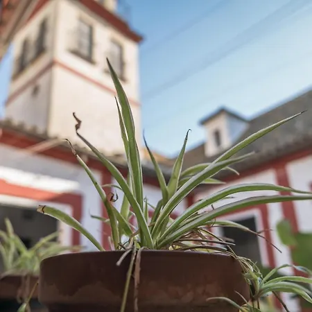 Casa Palacio San Agustín 10
